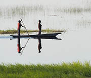 Surface water in drylands